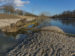 Sub-site 2 'coherence priority Dingolfing' - Measure C.4: To promote current diversity and as a habitat for young fish and aquatic insects, tree trunks resulting from deforestation are installed