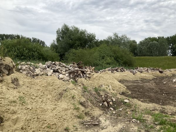 Eidechsenhabitate als Ersatzlebensraum