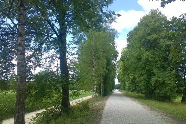 fertiger Flutmuldendeich mit neuem Deichkronenweg und Deichhinterweg