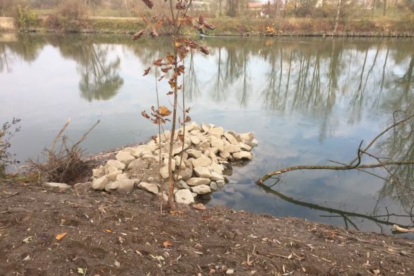 Kombination von Kurzbuhne und Totholzelement, Teilgebiet 2 Kohärenzschwerpunkt Dingolfing Kombination von Kurzbuhne und Totholzelement, Teilgebiet 2 Kohärenzschwerpunkt Dingolfing