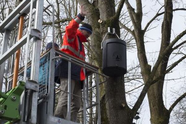 Ausbringung von Nistkästen für Vögel und Fledermäuse, TG 2 Kohärenzschwerpunkt Dingolfing Ausbringung von Nistkästen für Vögel und Fledermäuse, TG 2 Kohärenzschwerpunkt Dingolfing