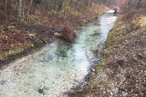 Strukturierung Sickergraben mit Totholz- und Kolk-Furt-Abfolgen, Teilgebiet 1 FFH-Schwerpunkt Loiching Strukturierung Sickergraben mit Totholz- und Kolk-Furt-Abfolgen, Teilgebiet 1 FFH-Schwerpunkt Loiching