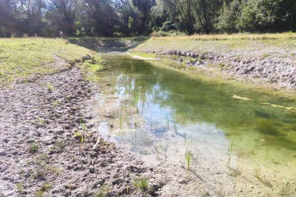 Temporäres Kleingewässer, Teilgebiet 7 FFH-Schwerpunkt Ettling Temporäres Kleingewässer, Teilgebiet 7 FFH-Schwerpunkt Ettling