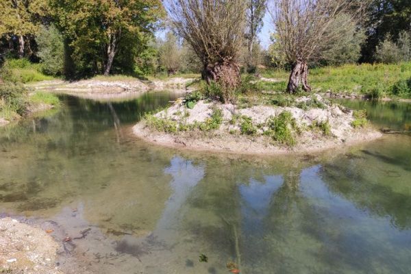 Neuanlage eines Auegewässers im Teilgebiet 7 FFH-Schwerpunkt Ettling Neuanlage eines Auegewässers im Teilgebiet 7 FFH-Schwerpunkt Ettling