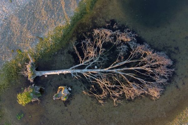 Totholzstrukturen, Teilgebiet 5 FFH-Schwerpunkt Landau Totholzstrukturen, Teilgebiet 5 FFH-Schwerpunkt Landau