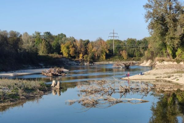 Vielfältige Totholzelemente beleben den neuen Seitenarm der Isar, Teilgebiet 5 Kohärenzschwerpunkt Landau Vielfältige Totholzelemente beleben den neuen Seitenarm der Isar, Teilgebiet 5 Kohärenzschwerpunkt Landau