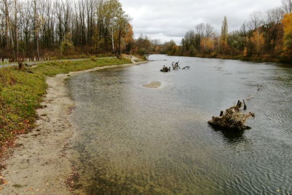 Flachwasserbucht, Teilgebiet 3 FFH-Schwerpunkt Mamming Flachwasserbucht, Teilgebiet 3 FFH-Schwerpunkt Mamming