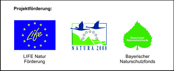 Logo Projektförderung