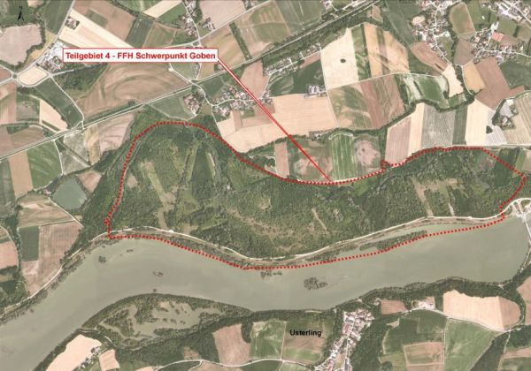 Teilgebiet 4 - FFH-Schwerpunkt Goben