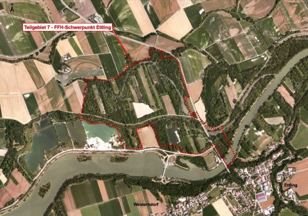 Teilgebiet 7 - Kohärenzschwerpunkt Ettling