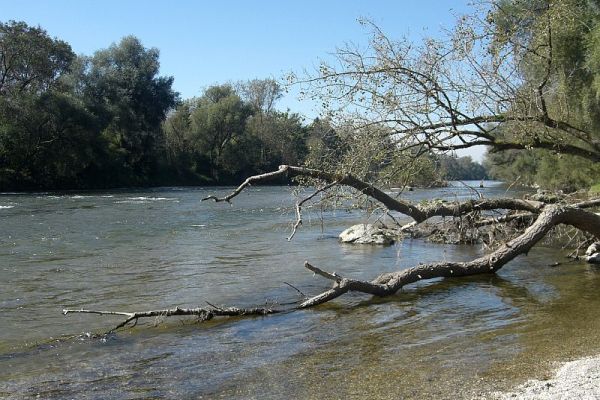 Natürliche Isar an den sieben Rippen (Gemeinde Bruckberg, Landkreis Landshut)